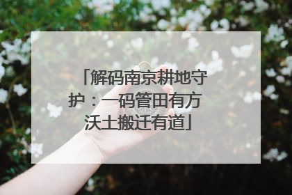 解码南京耕地守护：一码管田有方 沃土搬迁有道