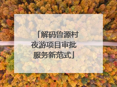 解码鲁源村夜游项目审批服务新范式