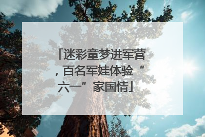 迷彩童梦进军营，百名军娃体验“六一”家国情