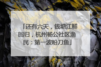 还有六天，钱塘江鲜回归，杭州杨公社区渔民：第一波盼刀鱼