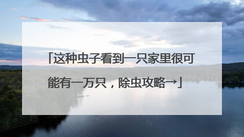 这种虫子看到一只家里很可能有一万只，除虫攻略→