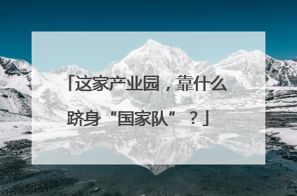这家产业园，靠什么跻身“国家队”？