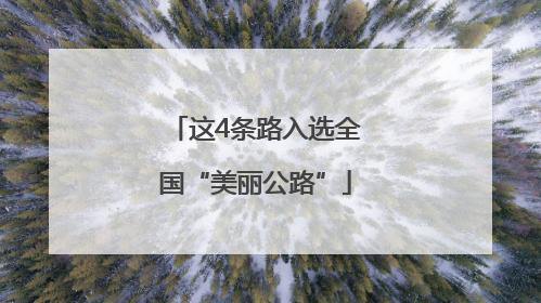这4条路入选全国“美丽公路”