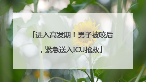 进入高发期！男子被咬后，紧急送入ICU抢救