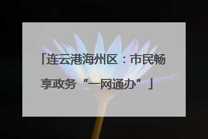连云港海州区：市民畅享政务“一网通办”