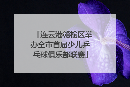 连云港赣榆区举办全市首届少儿乒乓球俱乐部联赛