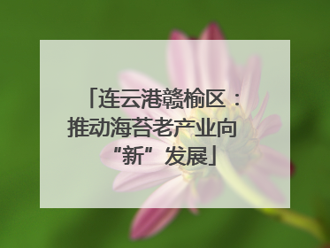 连云港赣榆区：推动海苔老产业向“新”发展