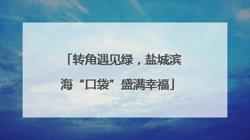 转角遇见绿，盐城滨海“口袋”盛满幸福