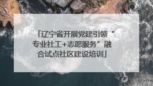 辽宁省开展党建引领“专业社工+志愿服务”融合试点社区建设培训