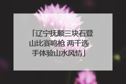 辽宁抚顺三块石登山比赛鸣枪 两千选手体验山水风情
