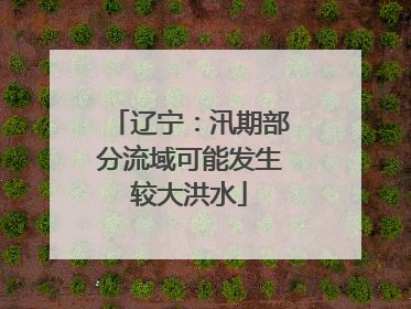 辽宁：汛期部分流域可能发生较大洪水