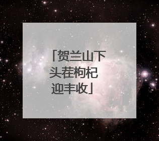 贺兰山下 头茬枸杞迎丰收