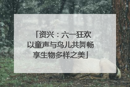 资兴：六一狂欢 以童声与鸟儿共舞畅享生物多样之美