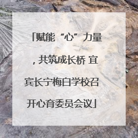 赋能“心”力量，共筑成长桥 宜宾长宁梅白学校召开心育委员会议
