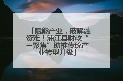 赋能产业，破解融资难！浦江县财政“三聚焦”助推传统产业转型升级