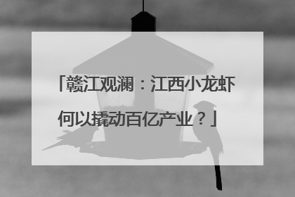 赣江观澜：江西小龙虾何以撬动百亿产业？