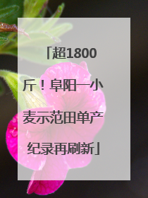 超1800斤！阜阳一小麦示范田单产纪录再刷新