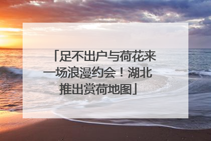 足不出户与荷花来一场浪漫约会！湖北推出赏荷地图