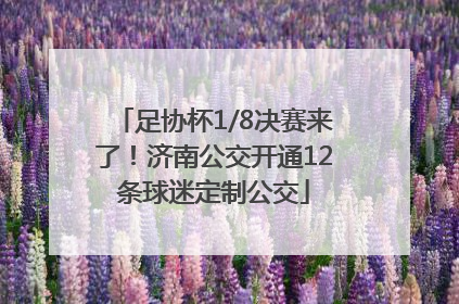 足协杯1/8决赛来了！济南公交开通12条球迷定制公交