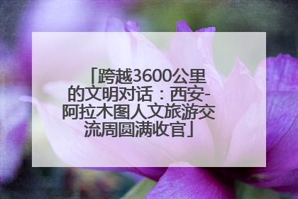 跨越3600公里的文明对话：西安-阿拉木图人文旅游交流周圆满收官