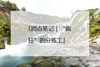 蹲点笔记｜“疯狂”的分拣工