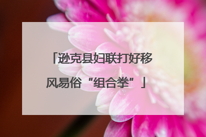 逊克县妇联打好移风易俗“组合拳”