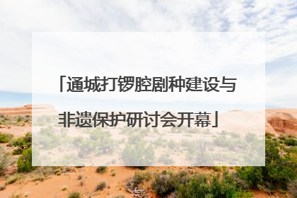 通城打锣腔剧种建设与非遗保护研讨会开幕