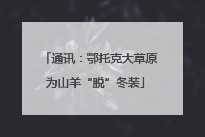通讯：鄂托克大草原为山羊“脱”冬装