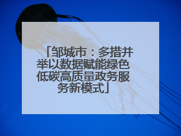 邹城市：多措并举以数据赋能绿色低碳高质量政务服务新模式