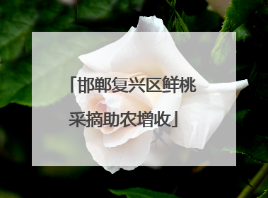 邯郸复兴区鲜桃采摘助农增收
