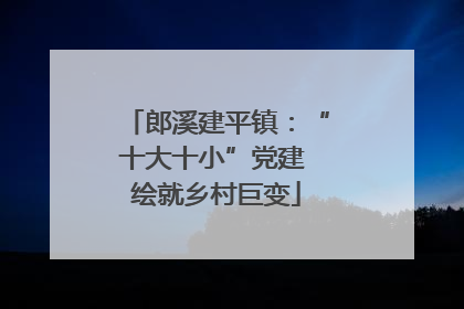 郎溪建平镇：“十大十小”党建 绘就乡村巨变