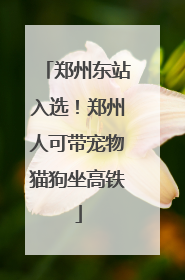 郑州东站入选！郑州人可带宠物猫狗坐高铁