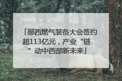 郧西燃气装备大会签约超113亿元，产业“链”动中西部新未来