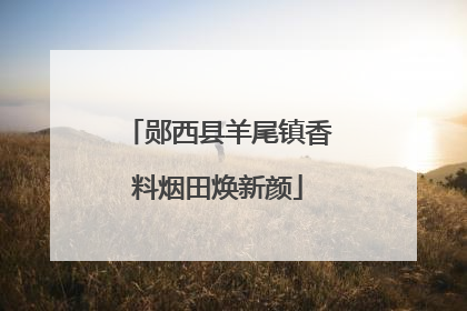 郧西县羊尾镇香料烟田焕新颜