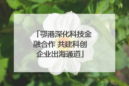 鄂港深化科技金融合作 共建科创企业出海通道