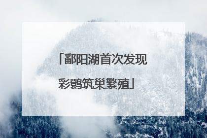 鄱阳湖首次发现彩鹮筑巢繁殖