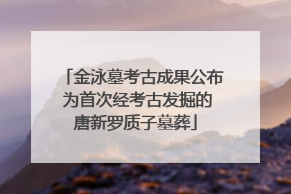 金泳墓考古成果公布 为首次经考古发掘的唐新罗质子墓葬