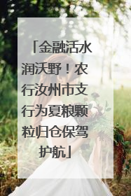 金融活水润沃野！农行汝州市支行为夏粮颗粒归仓保驾护航