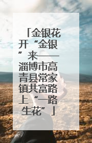 金银花开“金银”来——淄博市高青县常家镇共富路上“一路生花”