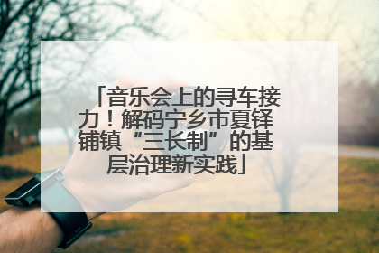 音乐会上的寻车接力！解码宁乡市夏铎铺镇“三长制”的基层治理新实践