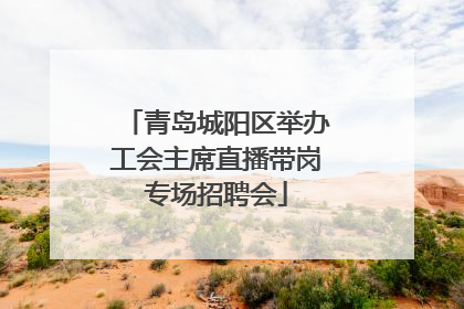 青岛城阳区举办工会主席直播带岗专场招聘会