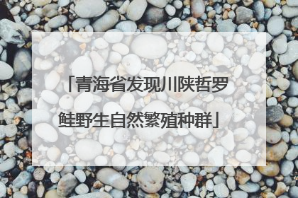青海省发现川陕哲罗鲑野生自然繁殖种群