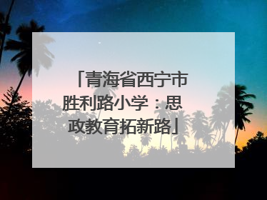 青海省西宁市胜利路小学：思政教育拓新路