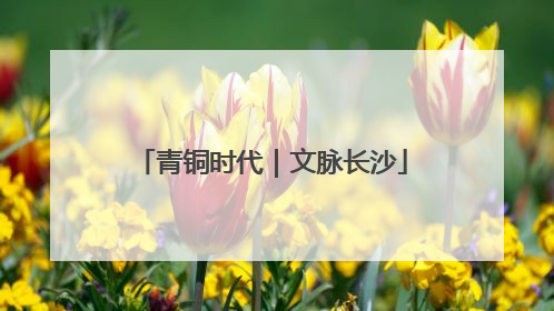青铜时代｜文脉长沙