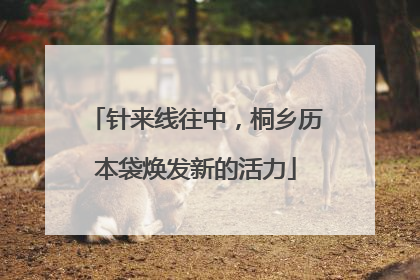 针来线往中，桐乡历本袋焕发新的活力