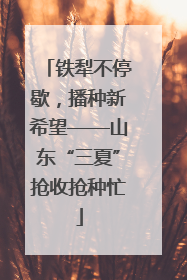 铁犁不停歇，播种新希望——山东“三夏”抢收抢种忙