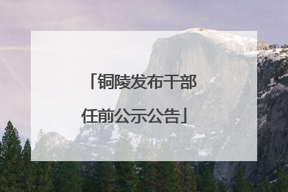 铜陵发布干部任前公示公告