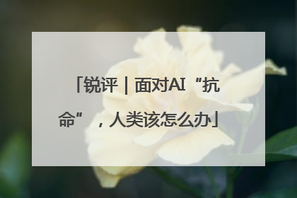 锐评｜面对AI“抗命”，人类该怎么办
