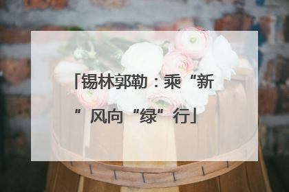锡林郭勒：乘“新”风向“绿”行