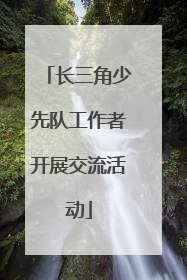 长三角少先队工作者开展交流活动